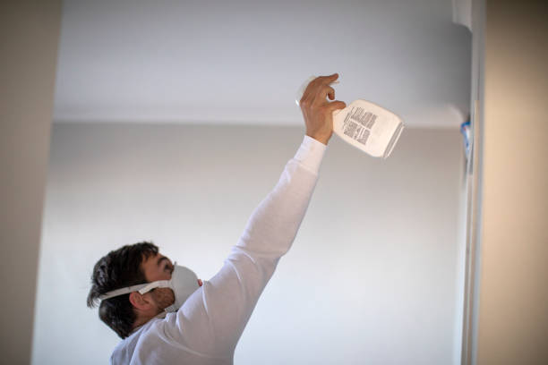 Best Professional Mold Removal  in Mount Penn, PA